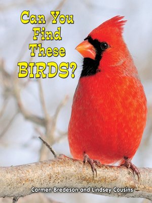cover image of Can You Find These Birds?